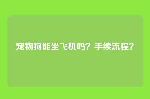 宠物狗能坐飞机吗？手续流程？