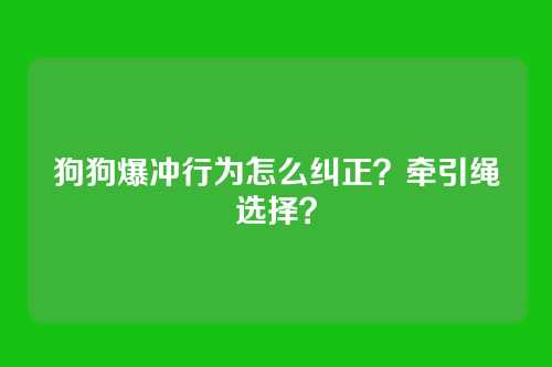 狗狗爆冲行为怎么纠正？牵引绳选择？