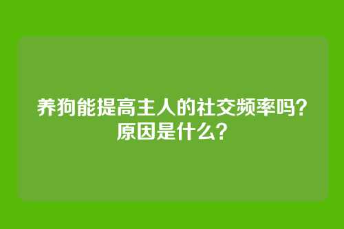 养狗能提高主人的社交频率吗?原因是什么?