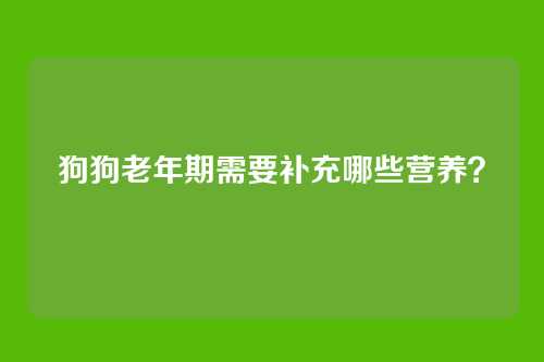 狗狗老年期需要补充哪些营养？