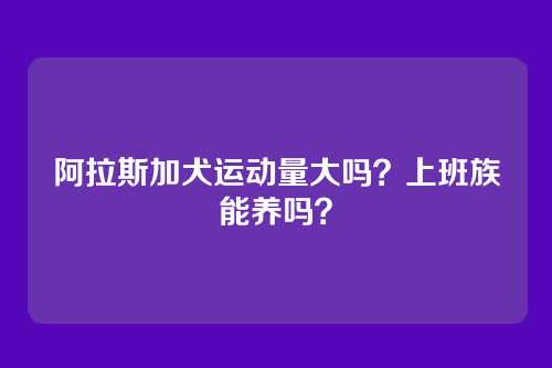阿拉斯加犬运动量大吗?上班族能养吗?