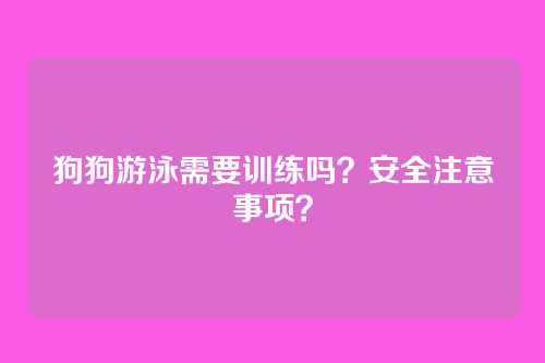 狗狗游泳需要训练吗?安全注意事项?