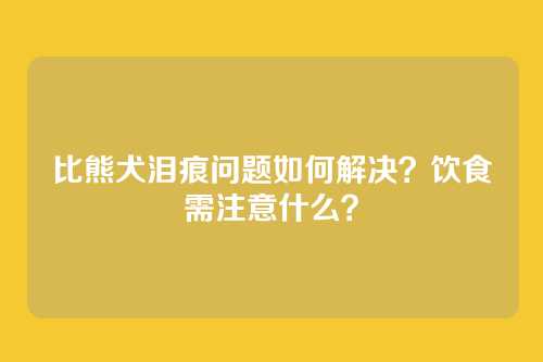 比熊犬泪痕问题如何解决？饮食需注意什么？