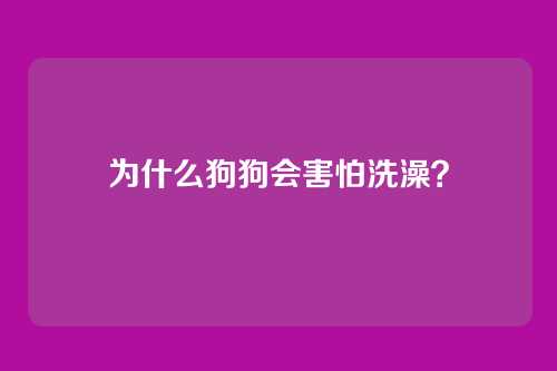 为什么狗狗会害怕洗澡？