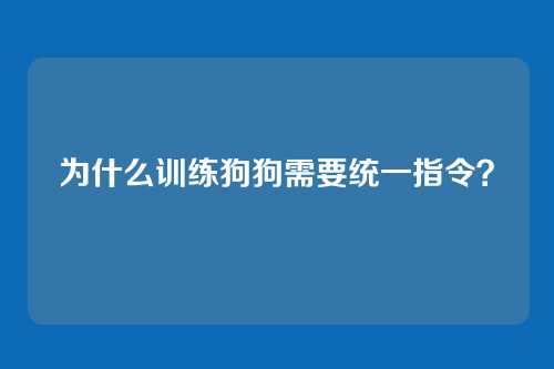 为什么训练狗狗需要统一指令？
