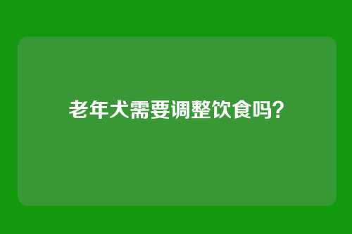 老年犬需要调整饮食吗?