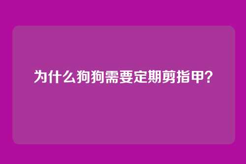 为什么狗狗需要定期剪指甲？