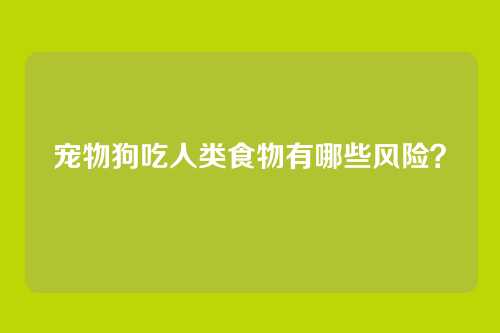 宠物狗吃人类食物有哪些风险？