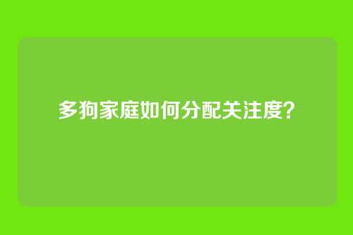 多狗家庭如何分配关注度?