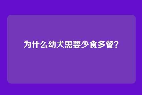 为什么幼犬需要少食多餐？