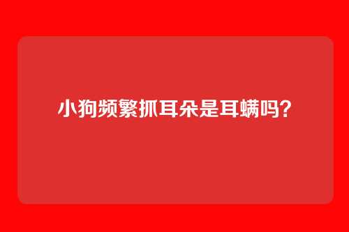 小狗频繁抓耳朵是耳螨吗?
