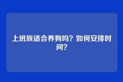 上班族适合养狗吗？如何安排时间？