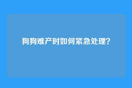 狗狗难产时如何紧急处理？