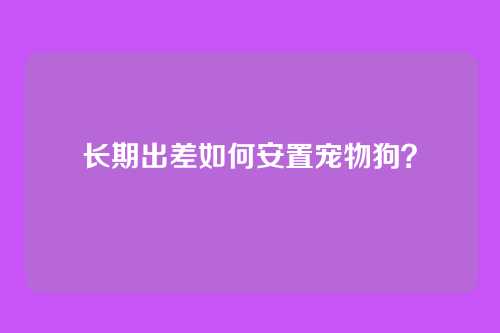 长期出差如何安置宠物狗？