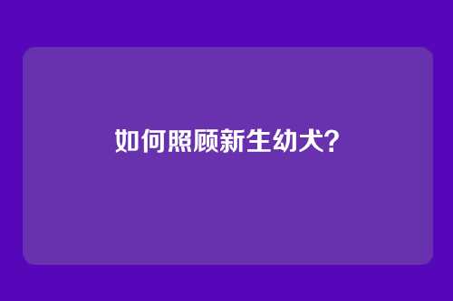 如何照顾新生幼犬?