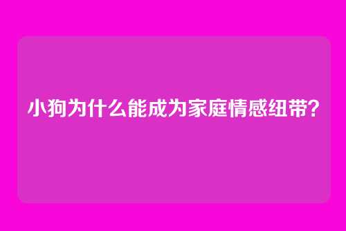 小狗为什么能成为家庭情感纽带?