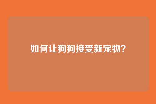 如何让狗狗接受新宠物?