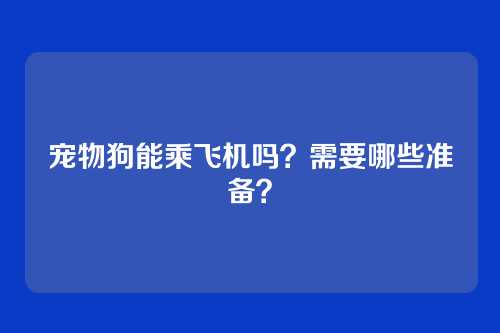 宠物狗能乘飞机吗?需要哪些准备?