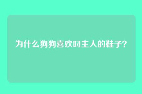 为什么狗狗喜欢叼主人的鞋子？