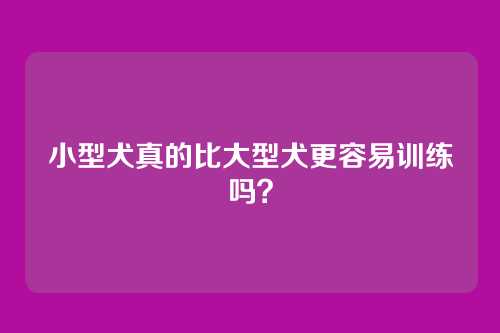 小型犬真的比大型犬更容易训练吗？