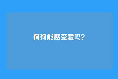 狗狗能感受爱吗？