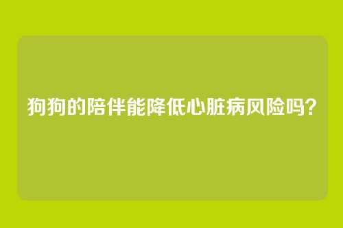 狗狗的陪伴能降低心脏病风险吗？