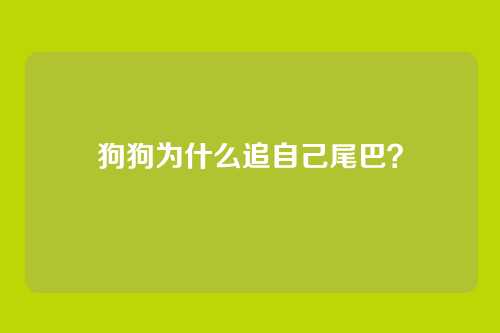 狗狗为什么追自己尾巴？