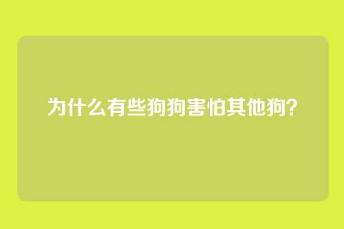 为什么有些狗狗害怕其他狗？