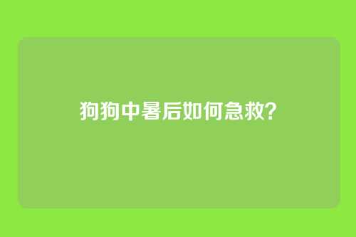 狗狗中暑后如何急救？