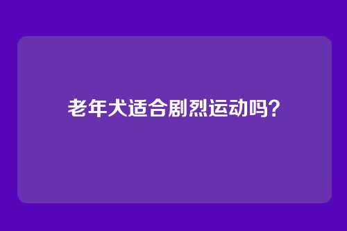老年犬适合剧烈运动吗？