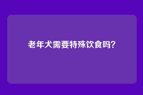 老年犬需要特殊饮食吗？