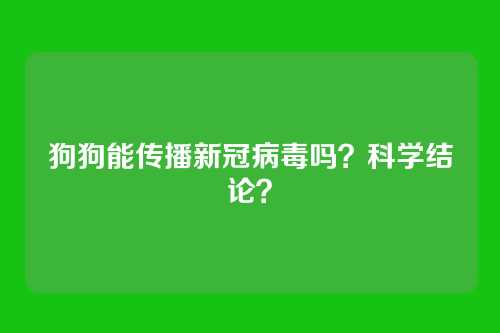 狗狗能传播新冠病毒吗？科学结论？