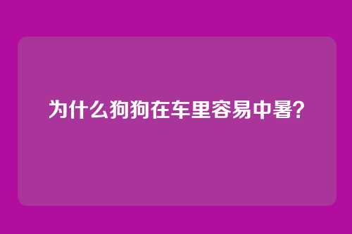 为什么狗狗在车里容易中暑?