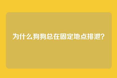 为什么狗狗总在固定地点排泄？