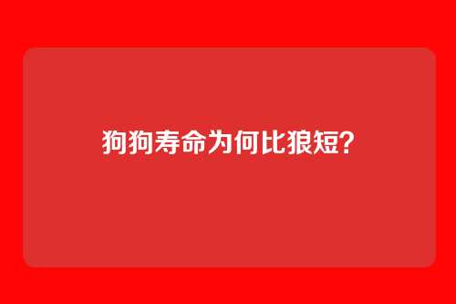 狗狗寿命为何比狼短？