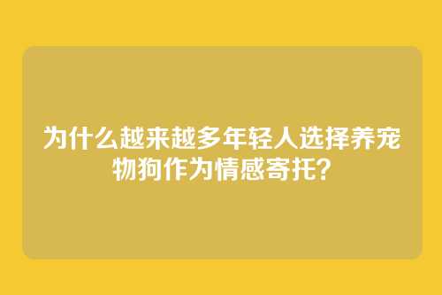 为什么越来越多年轻人选择养宠物狗作为情感寄托？