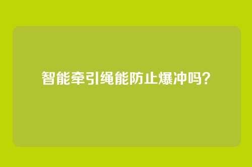 智能牵引绳能防止爆冲吗？