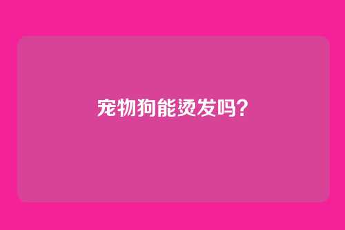 宠物狗能烫发吗?