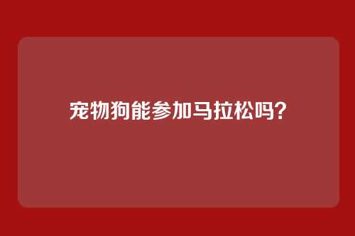 宠物狗能参加马拉松吗？