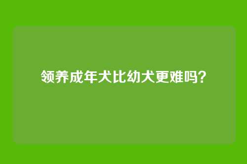 领养成年犬比幼犬更难吗？