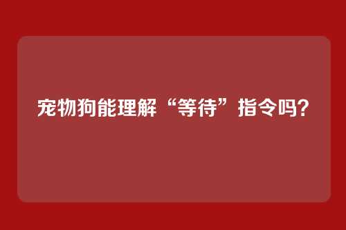 宠物狗能理解“等待”指令吗?