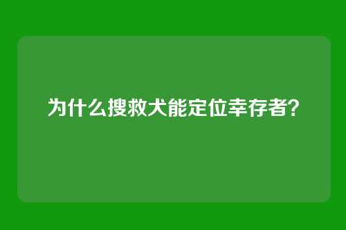 为什么搜救犬能定位幸存者？