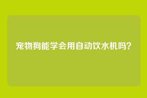 宠物狗能学会用自动饮水机吗?