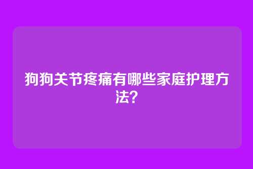 狗狗关节疼痛有哪些家庭护理方法?