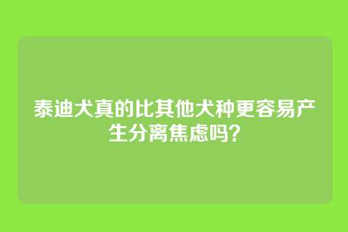 泰迪犬真的比其他犬种更容易产生分离焦虑吗？
