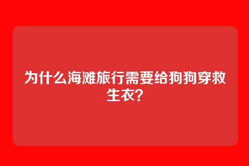 为什么海滩旅行需要给狗狗穿救生衣?