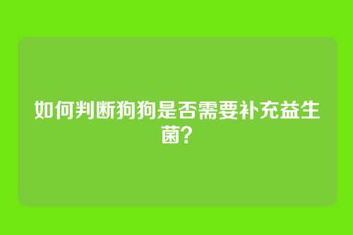 如何判断狗狗是否需要补充益生菌？