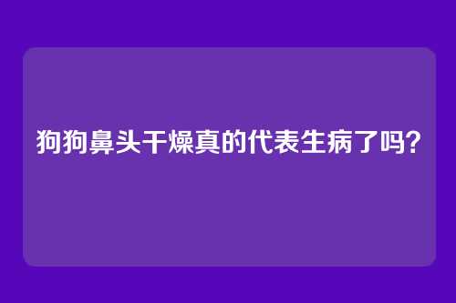 狗狗鼻头干燥真的代表生病了吗？
