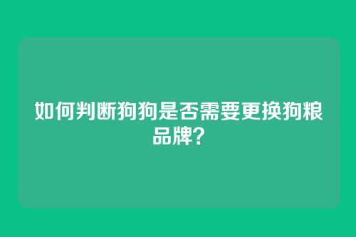 如何判断狗狗是否需要更换狗粮品牌?
