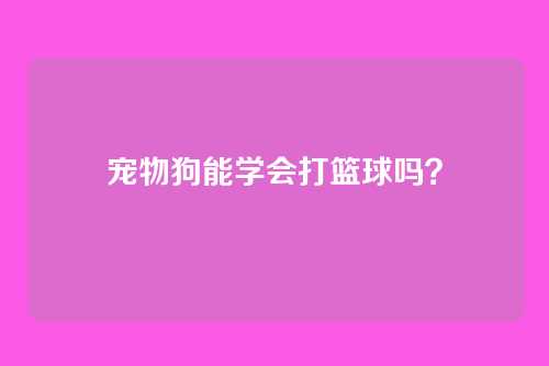 宠物狗能学会打篮球吗?